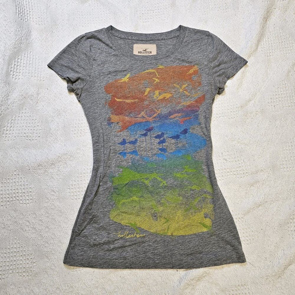 Hollister Women's Gray Graphic Logo Crew Neck Slim Fit Short Sleeve T-Shirt S